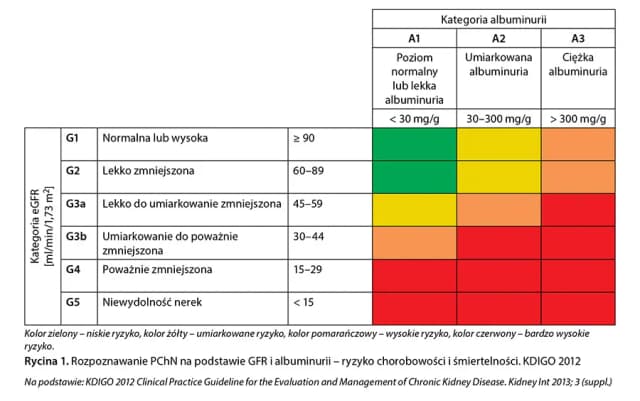 Choroba nerek jakie badania: kluczowe testy, które musisz znać