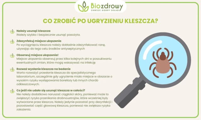 Ugryzienie kleszcza: kiedy do lekarza, aby uniknąć poważnych problemów Ugryzienie kleszcza: kiedy do lekarza, aby uniknąć poważnych problemów