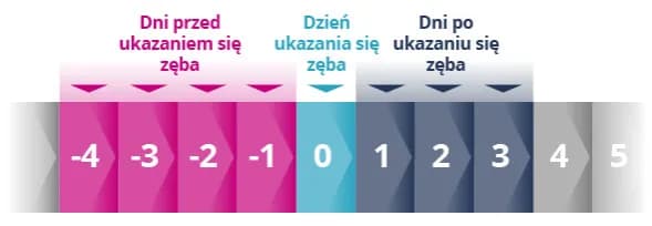 Ząbkowanie u niemowlaka objawy: Co musisz wiedzieć o bólu i dyskomforcie Ząbkowanie u niemowlaka objawy: Co musisz wiedzieć o bólu i dyskomforcie