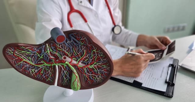 Jaki lekarz od wątroby pomoże w diagnozie i leczeniu chorób? Jaki lekarz od wątroby pomoże w diagnozie i leczeniu chorób?
