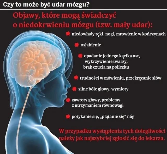 Zmiany malacyjne w mózgu objawy – jak je rozpoznać i co oznaczają? Zmiany malacyjne w mózgu objawy – jak je rozpoznać i co oznaczają?