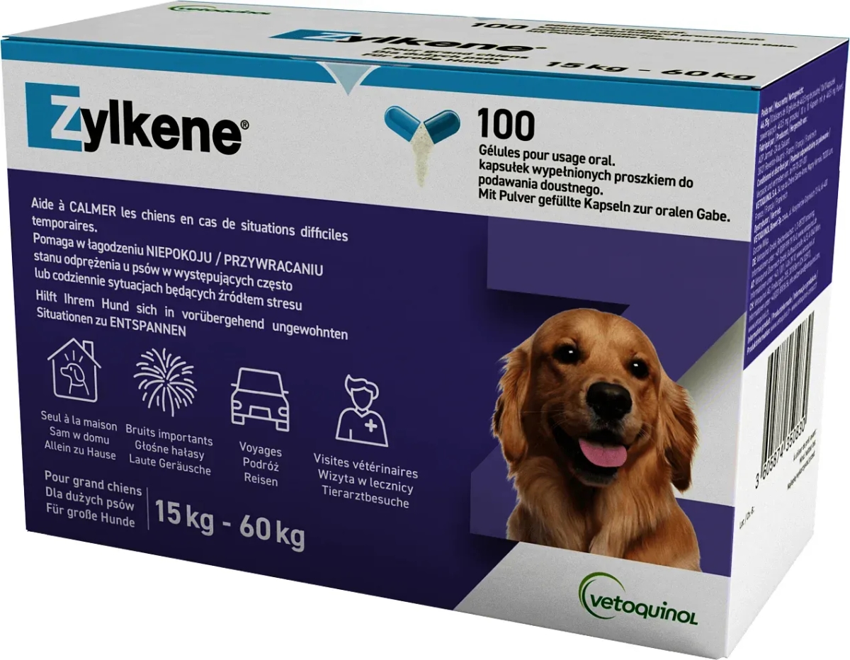 Jakie leki na uspokojenie dla psa pomogą w walce z lękiem?